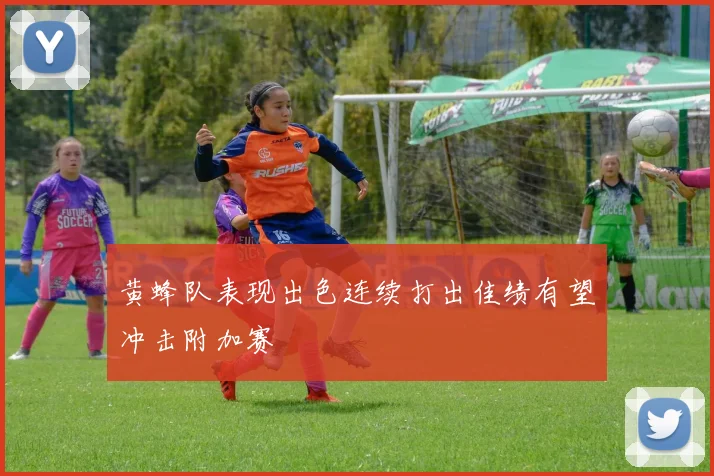 黄蜂队表现出色连续打出佳绩有望冲击附加赛